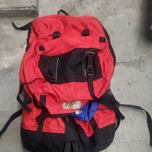 Patagonia Bold Red and Black Backpack